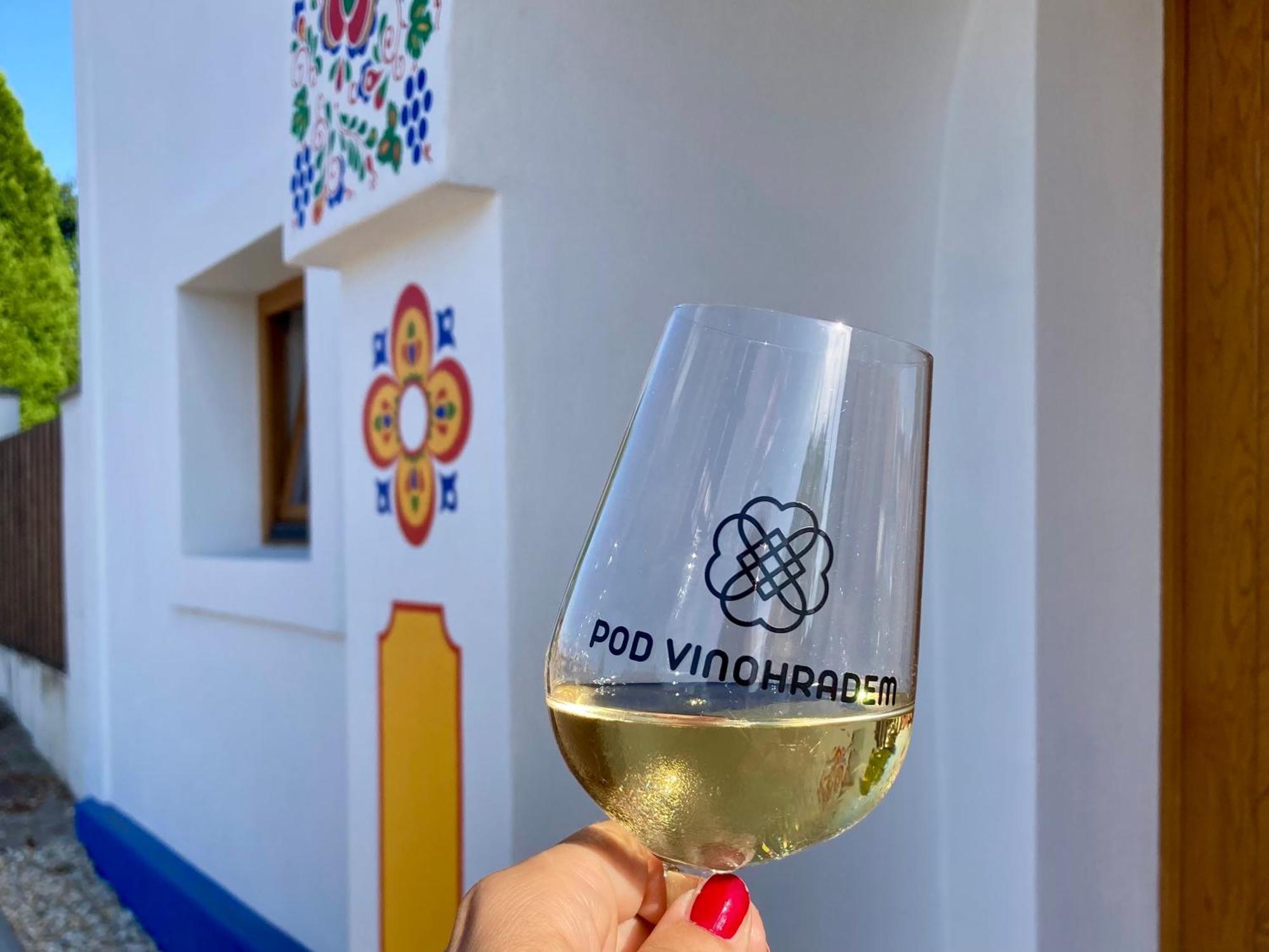 Pod Vinohradem - Apartmany & Vinne Sklepy Mutěnice Kültér fotó